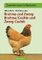 Brahma und Zwerg-Brahma, Cochin und Zwerg-Cochin Helfer Alfred, Grieshaber Rolf