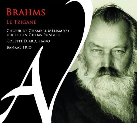 Brahms: Le Tzigane Choeur De Chambre Melismes, Diard Colette, BanKal Trio