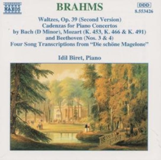 Brahms: Piano Works Biret Idil