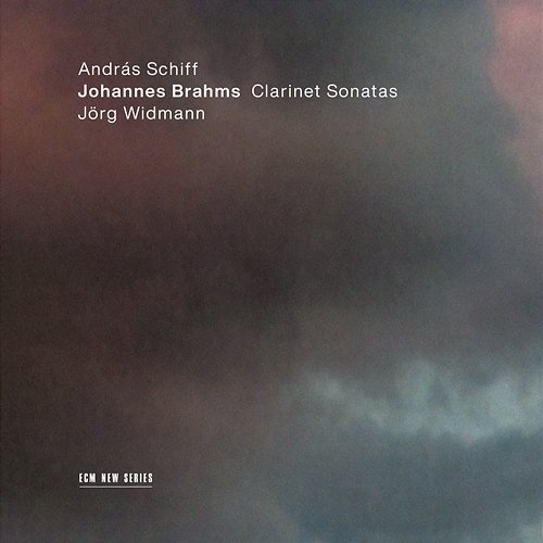 Brahms: Sonata for Clarinet and Piano No. 1 in F Minor, Op. 120 No. 1: 4. Vivace András Schiff, Jörg Widmann