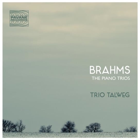 Brahms: The Piano Trios Various Artists