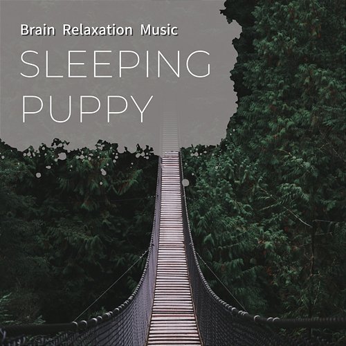 Brain Relaxation Music Sleeping Puppy