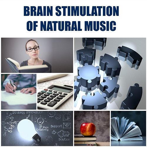 Brain Stimulation of Natural Music – Easy Learning, Increase Knowledge, Deep Concentration and Improve Your Skills, Inner Motivation Brain Study Music Guys