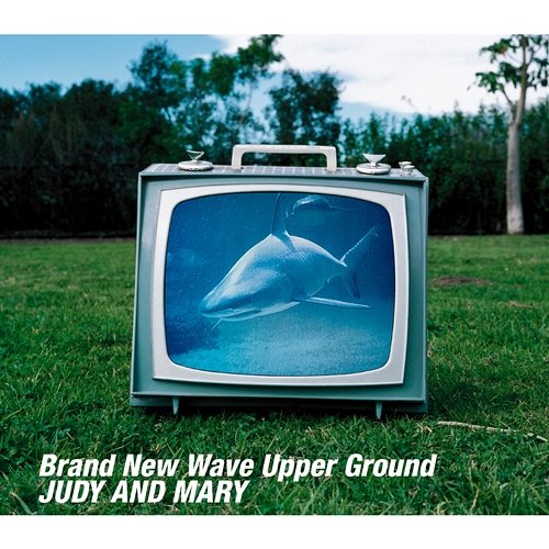 Brand New Wave Upper Ground Judy & Mary