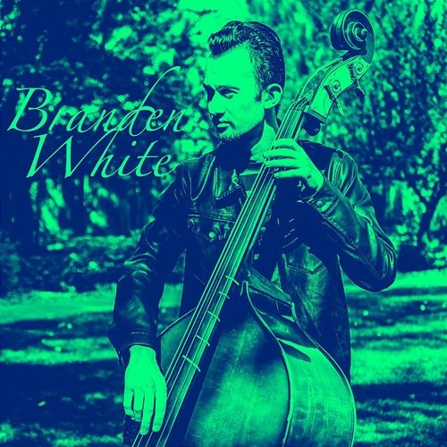 Branden White (The Green Album) Branden White