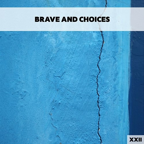 Brave And Choices XXII Various Artists