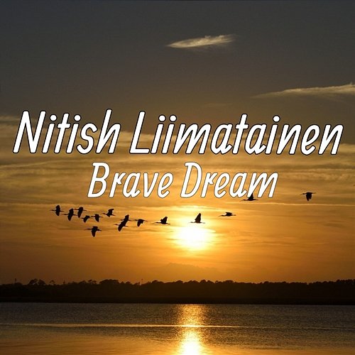 Brave Dream Nitish Liimatainen