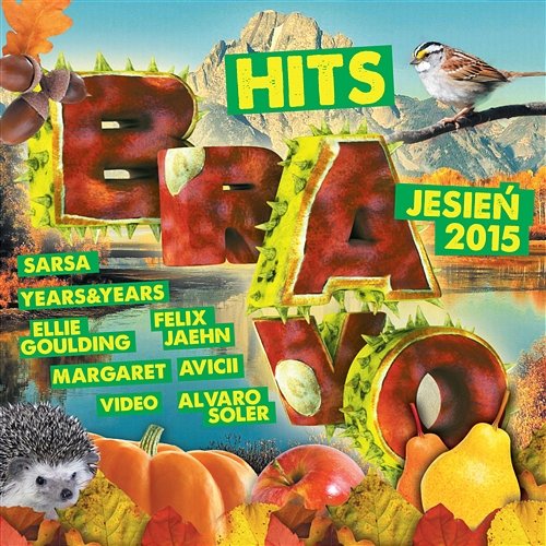Bravo Hits Jesień 2015 Various Artists