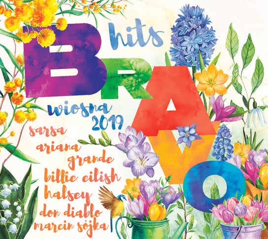 Bravo Hits. Wiosna 2019 Various Artists