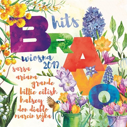 Bravo Hits Wiosna 2019 Various Artists