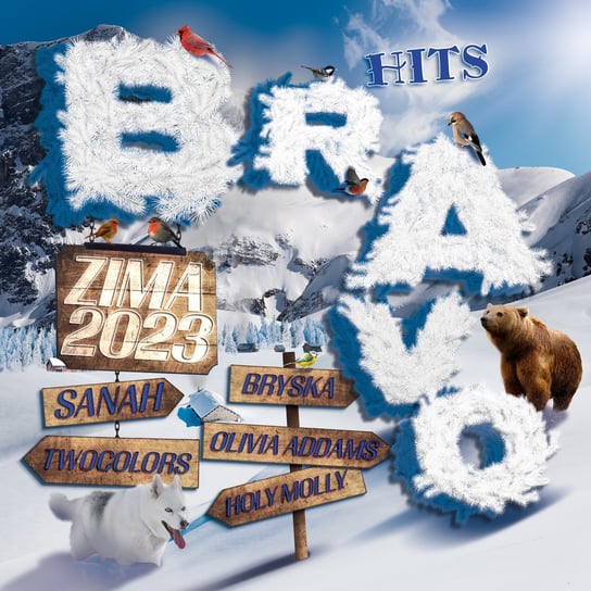 Bravo Hits: Zima 2023 Various Artists