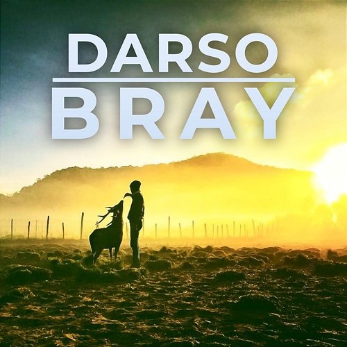 Bray Darso