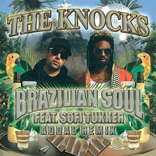 Brazilian Soul The Knocks