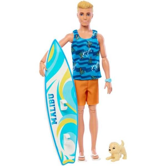 Brb Surfer Ken Hpt50 Wb6 Mattel