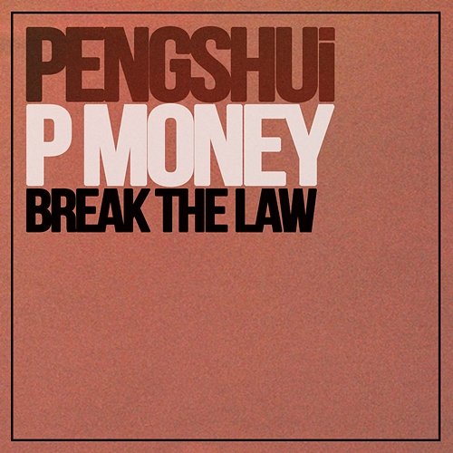 Break The Law PENGSHUi & P Money