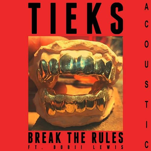 Break the Rules TIEKS feat. Bobii Lewis