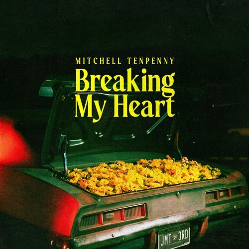 Breaking My Heart Mitchell Tenpenny