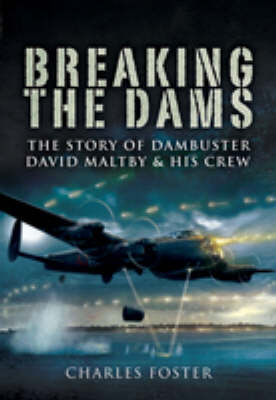 Breaking the Dams Foster Charles