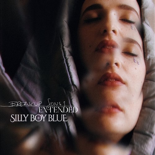 Breakup Songs Silly Boy Blue