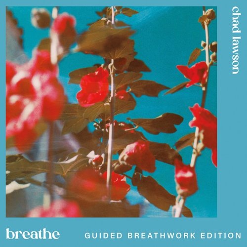 breathe Chad Lawson