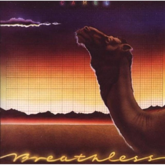 Breathless Camel
