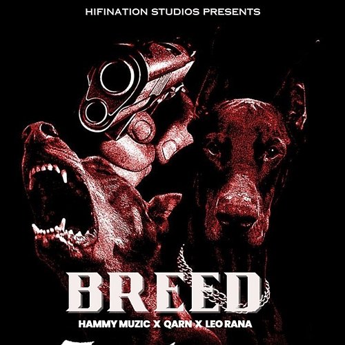 Breed Hammy Muzic, Qarn & Leo Rana