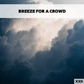 Breeze For A Crowd XXII Various Artists