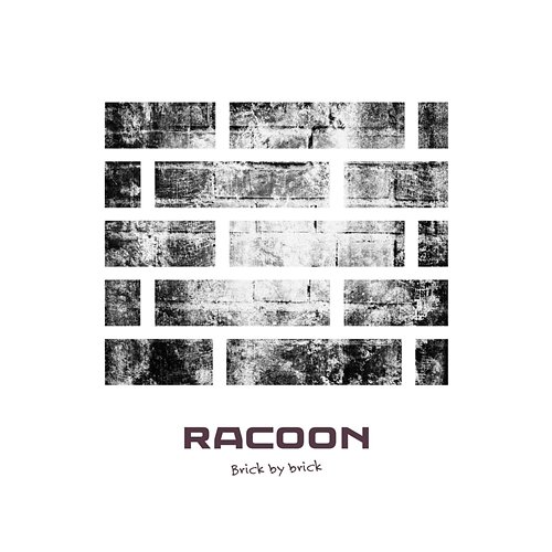 Brick by Brick Racoon