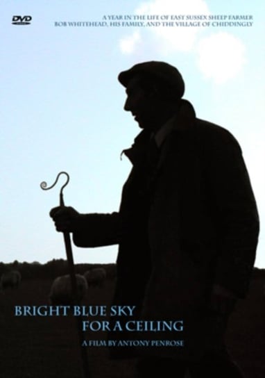 Bright Blue Sky for a Ceiling (brak polskiej wersji językowej) Brightspark