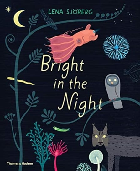 Bright in the Night Lena Sjoeberg