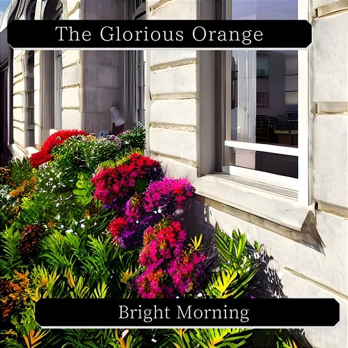 Bright Morning The Glorious Orange