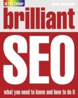 Brilliant Search Engine Optimisation (SEO) Amerland David