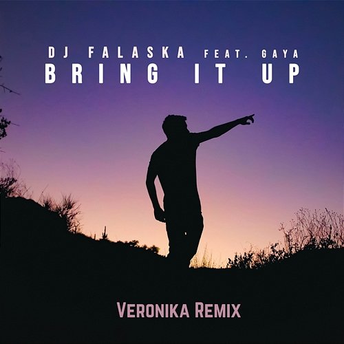 Bring It up DJ Falaska, Gaya