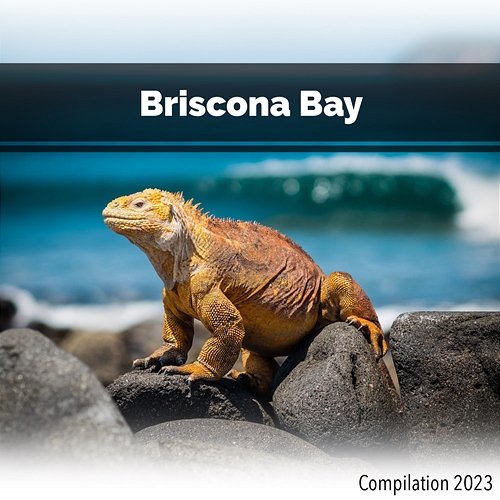 Briscona Bay Compilation 2023 John Toso, Mauro Rawn, Benny Montaquila Dj