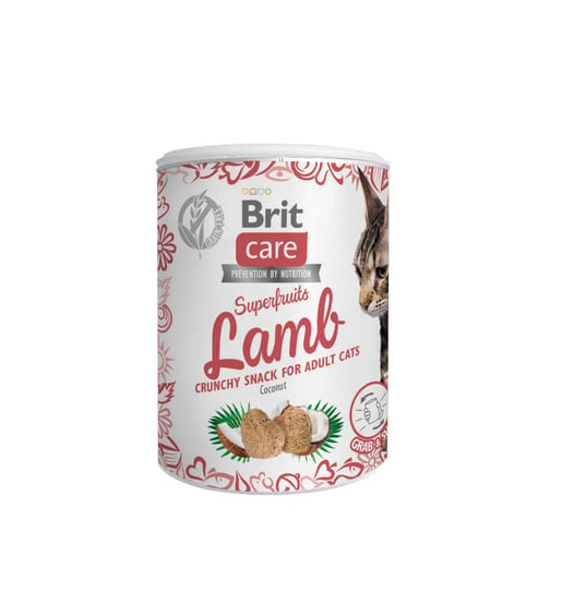 BRIT CARE Cat Snack Superfruits Lamb100g Brit