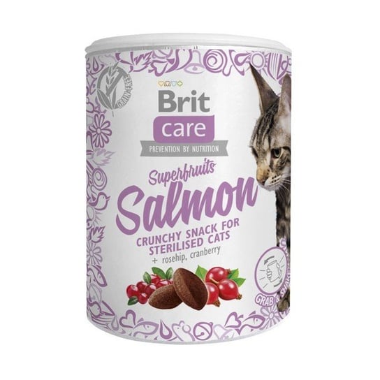Brit Care Cat Snack Superfruits salmon 100g Brit