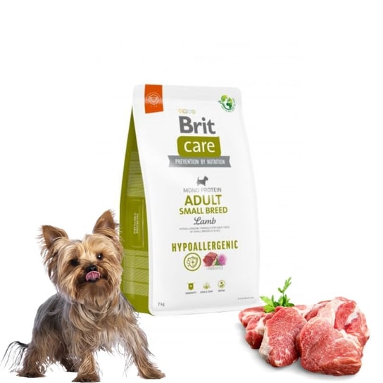 BRIT Care Dog Hypoalergiczna karma z jagnięciną dla dorosłych psów 1kg Brit