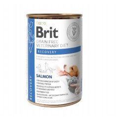 BRIT GF Veterinary Diets Recovery Salmon 400g - karma mokra dla psa i kota Brit