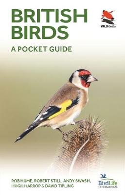 British Birds: A Pocket Guide Hume Rob