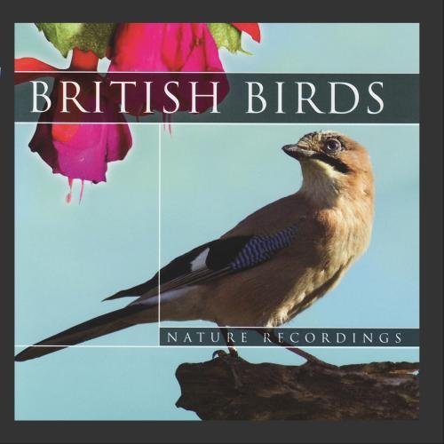British Birds Odgłosy Natury