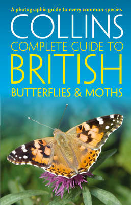British Butterflies and Moths Sterry Paul