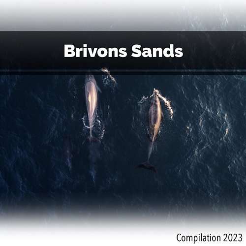 Brivons Sands Compilation 2023 John Toso, Mauro Rawn, Benny Montaquila Dj