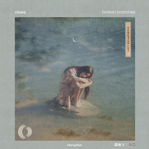 broken branches vlows & Disruptive LoFi