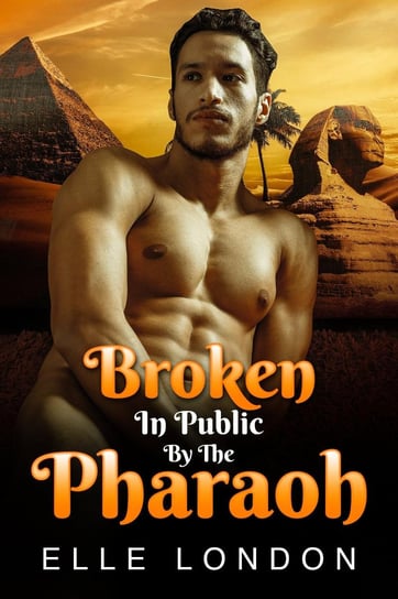 Broken In Public By The Pharaoh - ebook epub Elle London