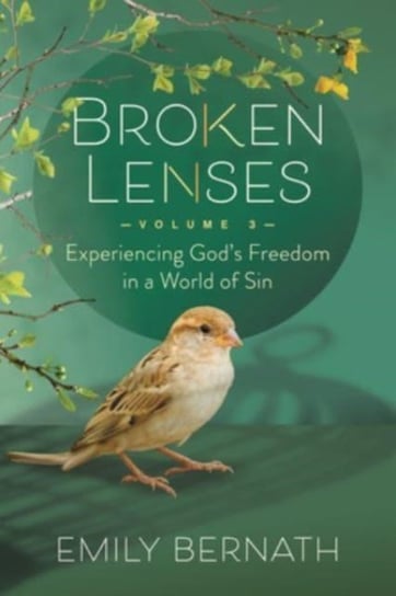 Broken Lenses, Volume 3: Experiencing God's Freedom in a World of Sin Morgan James Publishing llc