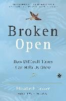 Broken Open: How Difficult Times Can Help Us Grow Lesser Elizabeth