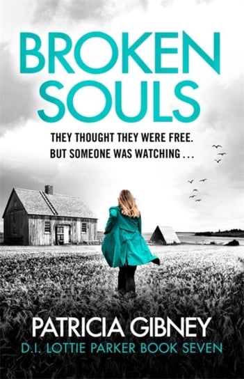 Broken Souls: An absolutely addictive mystery thriller with a brilliant twist Gibney Patricia