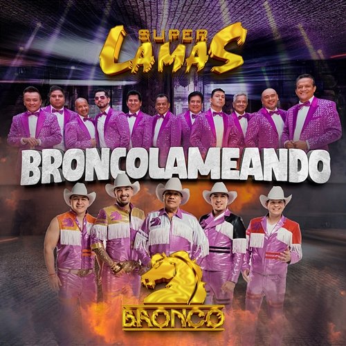 BRONCOLAMEANDO Super Lamas, Bronco