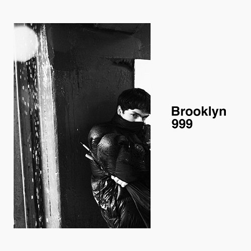 Brooklyn 999 FaceBrooklyn