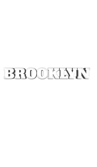 Brooklyn  New York Creative Journal Huhn Michael